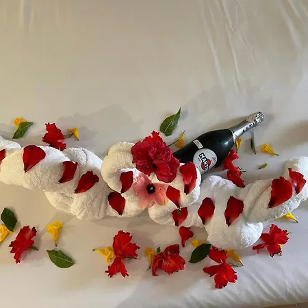 Vitan273 Hotel Boekarest